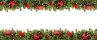 Beyaz yaprak dökmeyen dallarda