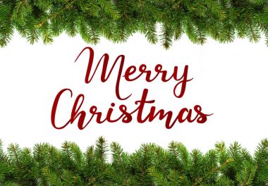 Beyaz yaprak dökmeyen dallarda