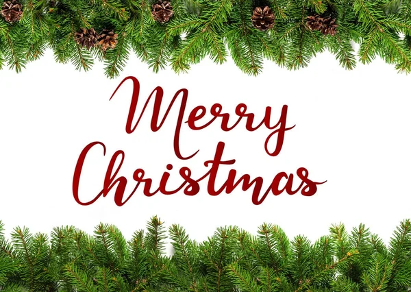 Beyaz yaprak dökmeyen dallarda