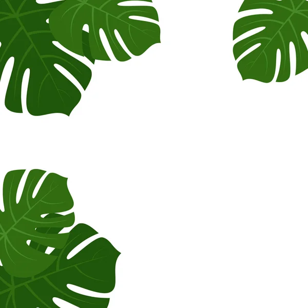 Monstera tropical hojas marco — Vector de stock