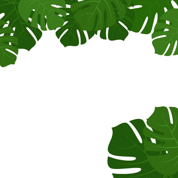 Monstera tropical hojas marco — Vector de stock