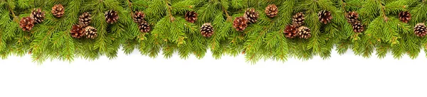 Christmas tree branches on white — Stock Photo, Image