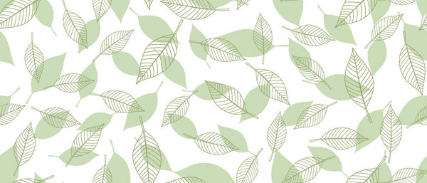 Green leaves background