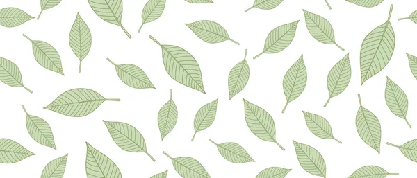 Green leaves background — Stock Vector