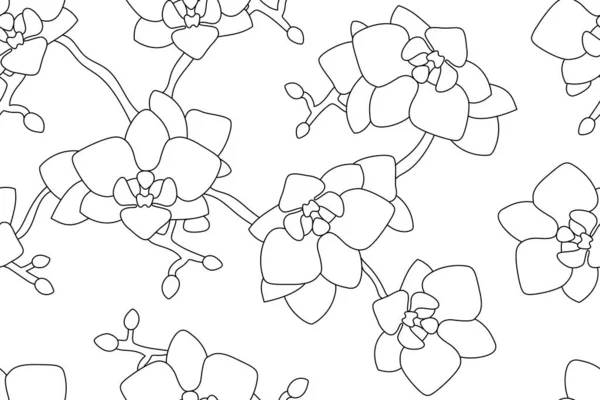 Svart och vit orkidé bakgrund — Stock vektor