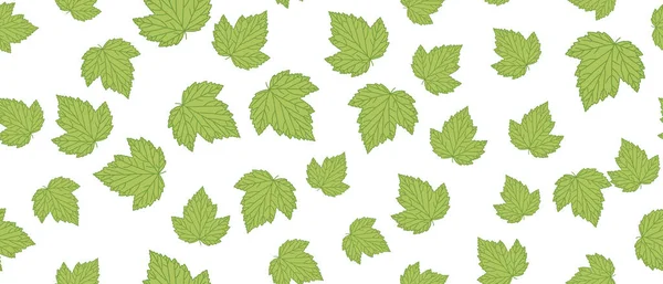 Ribizli zöld levelek háttér — Stock Vector