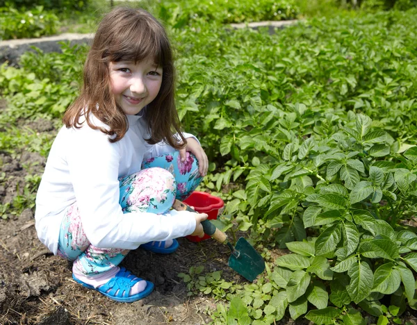 Dziewczynka w ogród warzywny — Zdjęcie stockowe