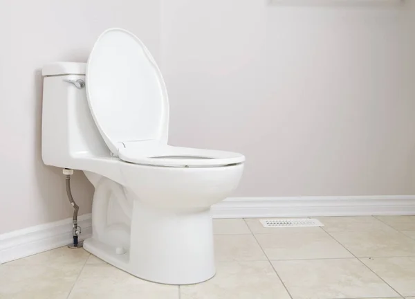 Pan toalet i papier toaletowy — Zdjęcie stockowe