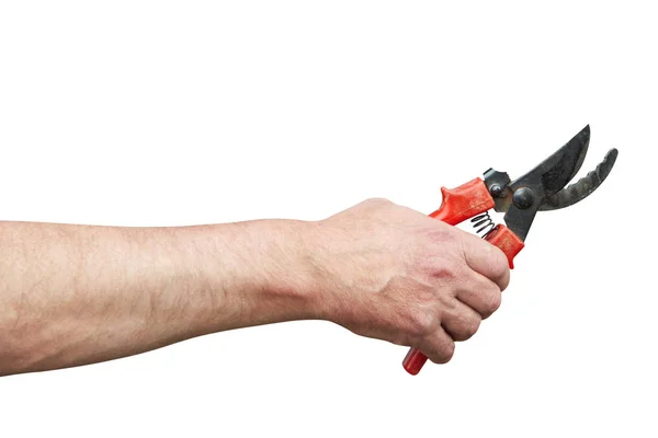 Hand mit Klipper — Stockfoto