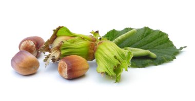 Beyaz bir arka plan üzerinde izole fındık