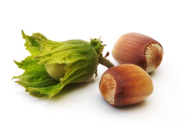 Beyaz bir arka plan üzerinde izole fındık