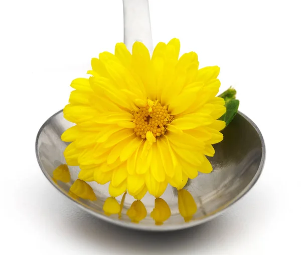 Cucharada y flor amarilla — Foto de Stock
