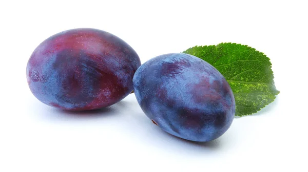 Plum isolated on a white background — Stock Photo, Image