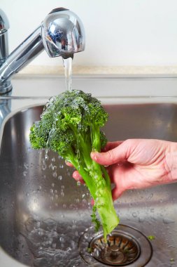 Lavaboda brokoli