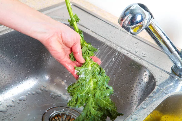 Lettuce in the sink — Stock Photo, Image