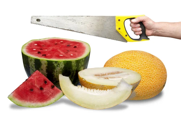 Watermelon and melon and hand with hacksaw — Stock Photo, Image