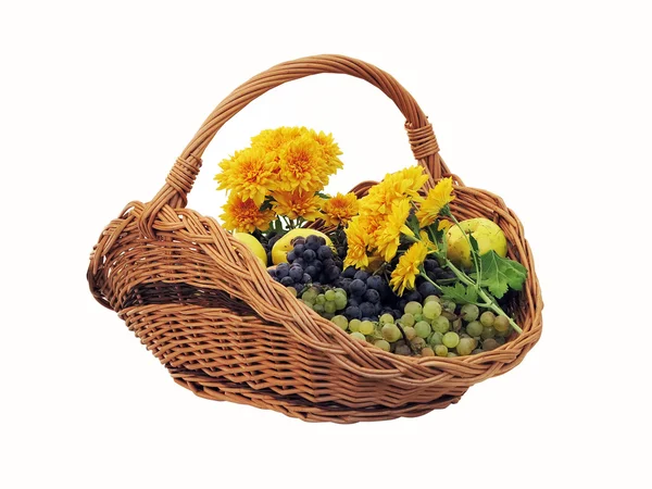 Maçãs de flores de uva em cesta velha isolada em branco — Fotografia de Stock