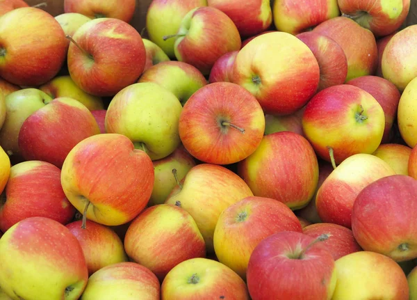 Organik elma kırmızı ve sarı arka plan