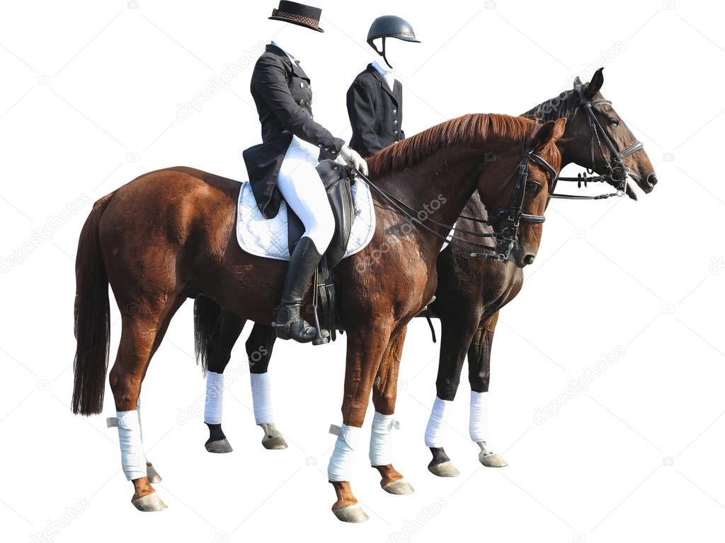 Dressage rider man and woman with two horses isolated on white