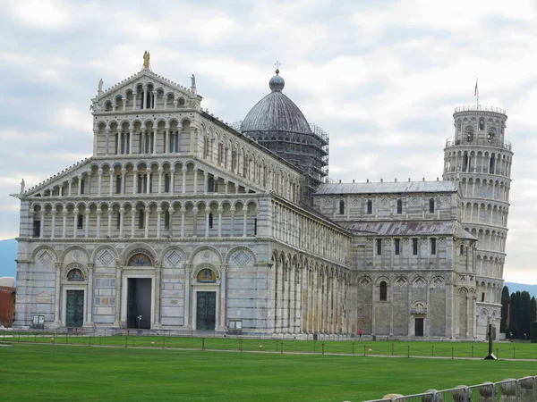 14.06.2017, Pisa, Toscane, Italië: scheve toren van Pisa in de buurt van kat — Stockfoto