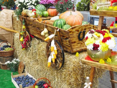 Sebze ve bir ahşap sepeti, h sezon saman üzerinde kabaklar