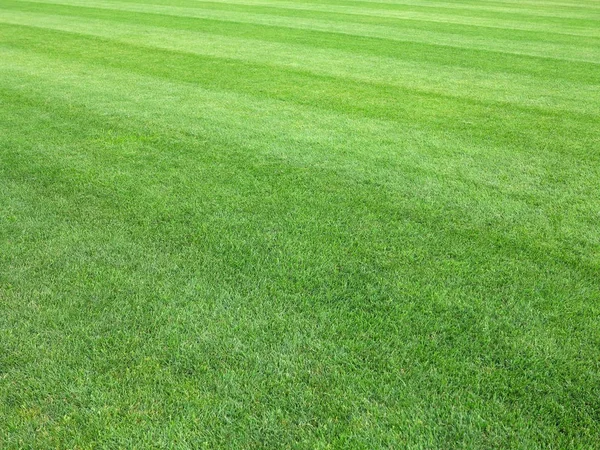 Gramado perfeito grama verde fundo — Fotografia de Stock