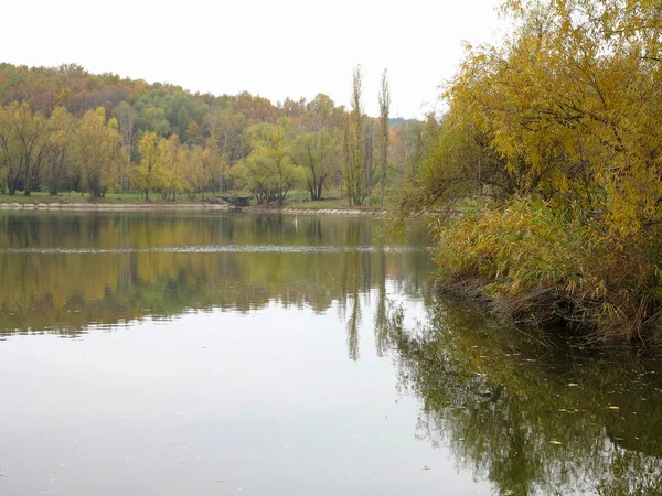Podzimní krajina s barevný Les, jezero a reflectio — Stock fotografie