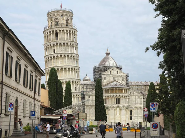 14.06.2017, Pisa, Toscane, Italië: scheve toren van Pisa in de buurt van kat — Stockfoto