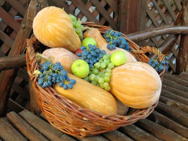 Rengarenk organik sebzelerle dolu hasat sepeti.