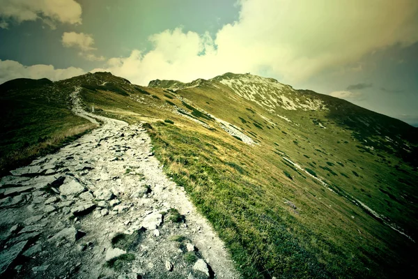 Fantasia e natureza colorida paisagem . — Fotografia de Stock