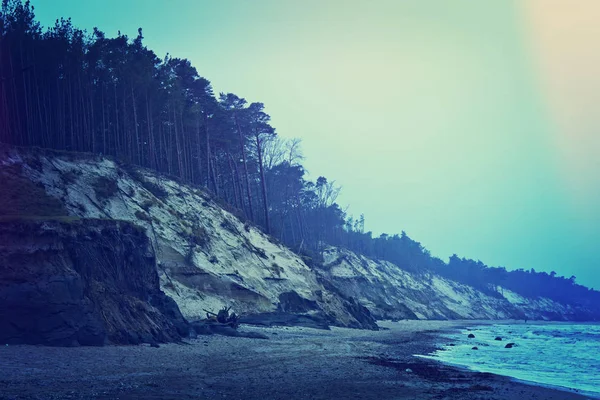 바다 절벽 및 숲. 로열티 프리 스톡 이미지