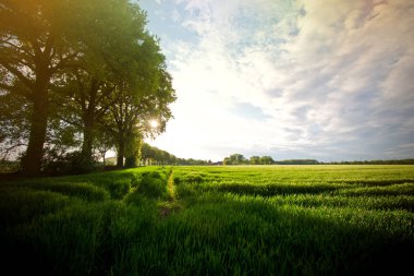 Doğa kavramı görüntü.