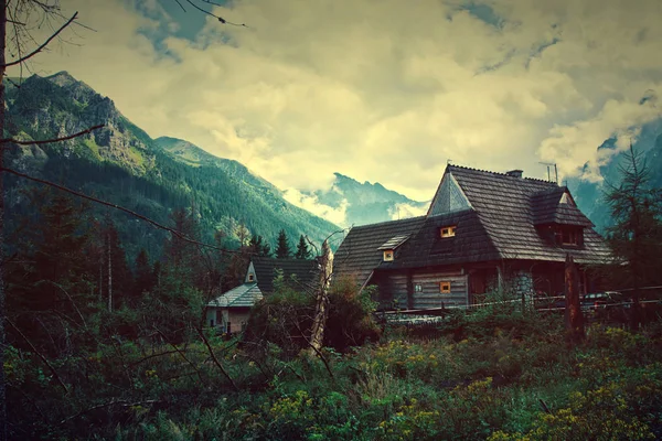 Natur in den Bergen. — Stockfoto