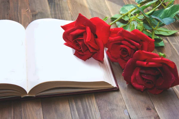 Masanın üzerinde kitabı aç.