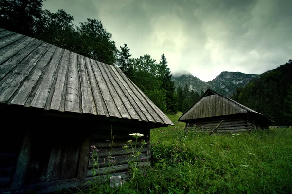 Paysage des montagnes . — Photo