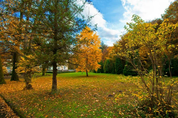 Осень в парке. Лицензионные Стоковые Изображения