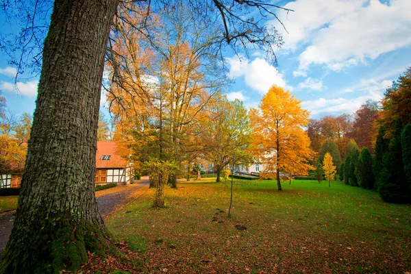 Herbst im Park. — Stockfoto