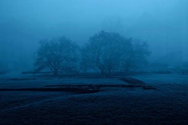Туман вранці в міському парку . — стокове фото