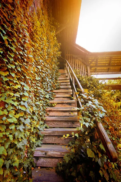 Old wooden stairs to the light. — Stock Photo, Image