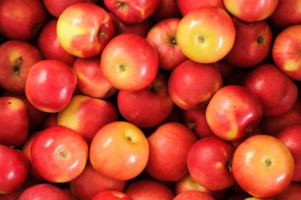 Trälåda låda full av färska äpplen — Stockfoto