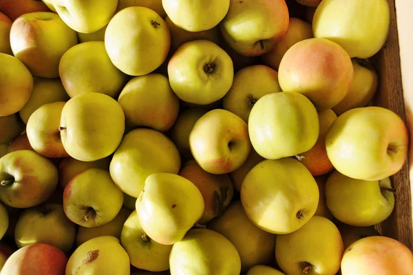 Wooden crate box full of fresh apples — Stock Photo, Image