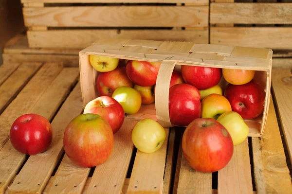 Caixa de caixa de madeira cheia de maçãs frescas — Fotografia de Stock