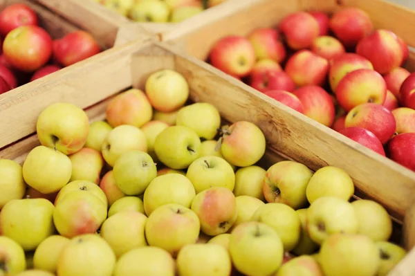 Boîte à caisses en bois pleine de pommes fraîches — Photo