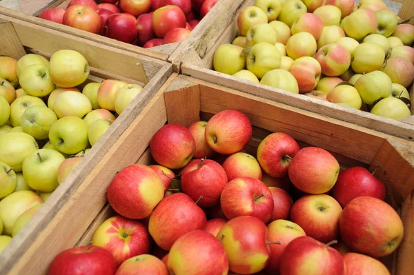 Boîte à caisses en bois pleine de pommes fraîches — Photo