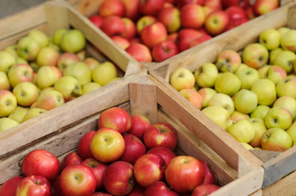 Boîte à caisses en bois pleine de pommes fraîches — Photo