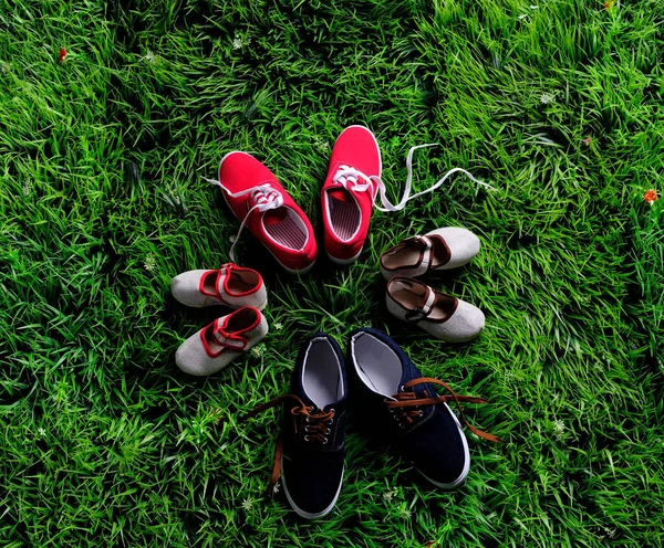 Cuatro pares de zapatos que representan el concepto de familia, crecimiento, educación y unión — Foto de Stock