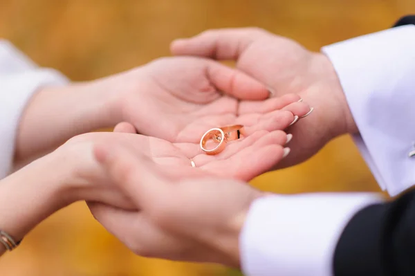 Mãos de noiva e noivo com seus anéis — Fotografia de Stock