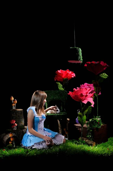 Alice no País das Maravilhas — Fotografia de Stock
