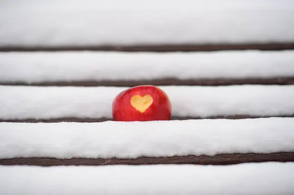 Κόκκινο μήλο στο χιόνι — Φωτογραφία Αρχείου