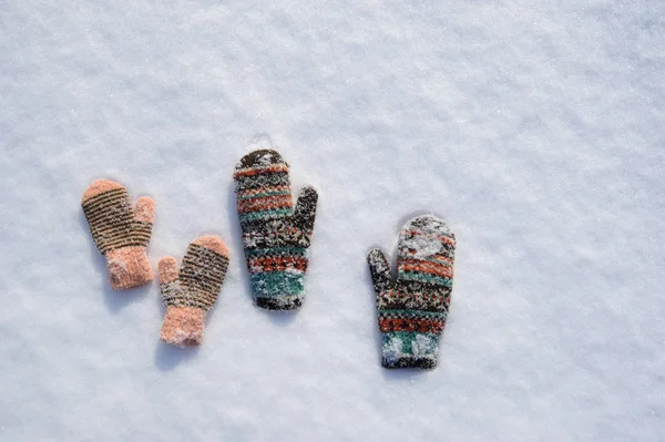 Mitenes congeladas na neve — Fotografia de Stock